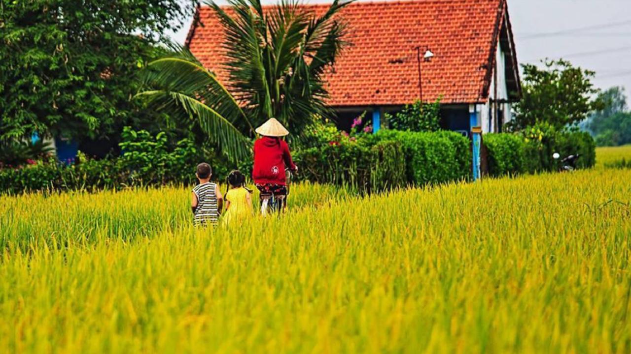 Flame Flowers Homestay Hoi An Exterior photo